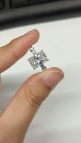 S.P. review photo