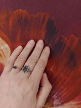 Petrina Nikolova review photo