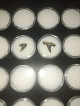 Lee review photo