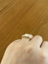 Hazle Fritsch review photo