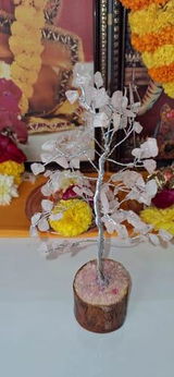 Vidhi T. review photo