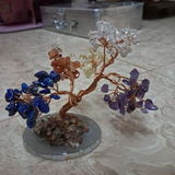 Shreya P. review photo