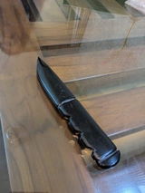 n.s. review photo