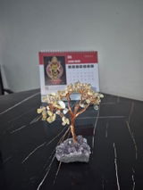 Ankit K. review photo