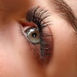 Roomforlashes review photo