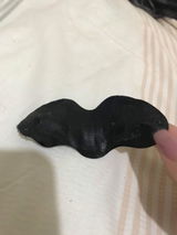 SuccubasHeat review photo