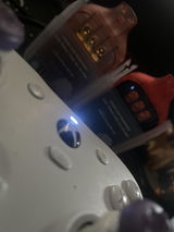 Paul Maple review photo