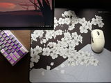 H.C. review photo