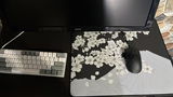 T.D. review photo