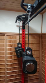 義丸 林 review photo