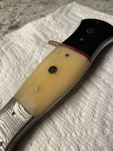 Andrew Napolitane review photo