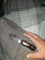 Rockwellhunter review photo