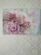 Diana review photo