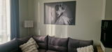 Ilona review photo