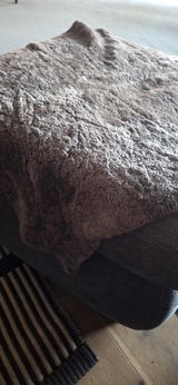 Christiane B. review photo