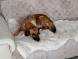 Tanja review photo