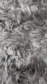 Renate W. review photo