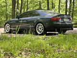 Milos Rakonjac review photo