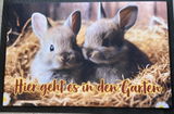 Gisela G. review photo