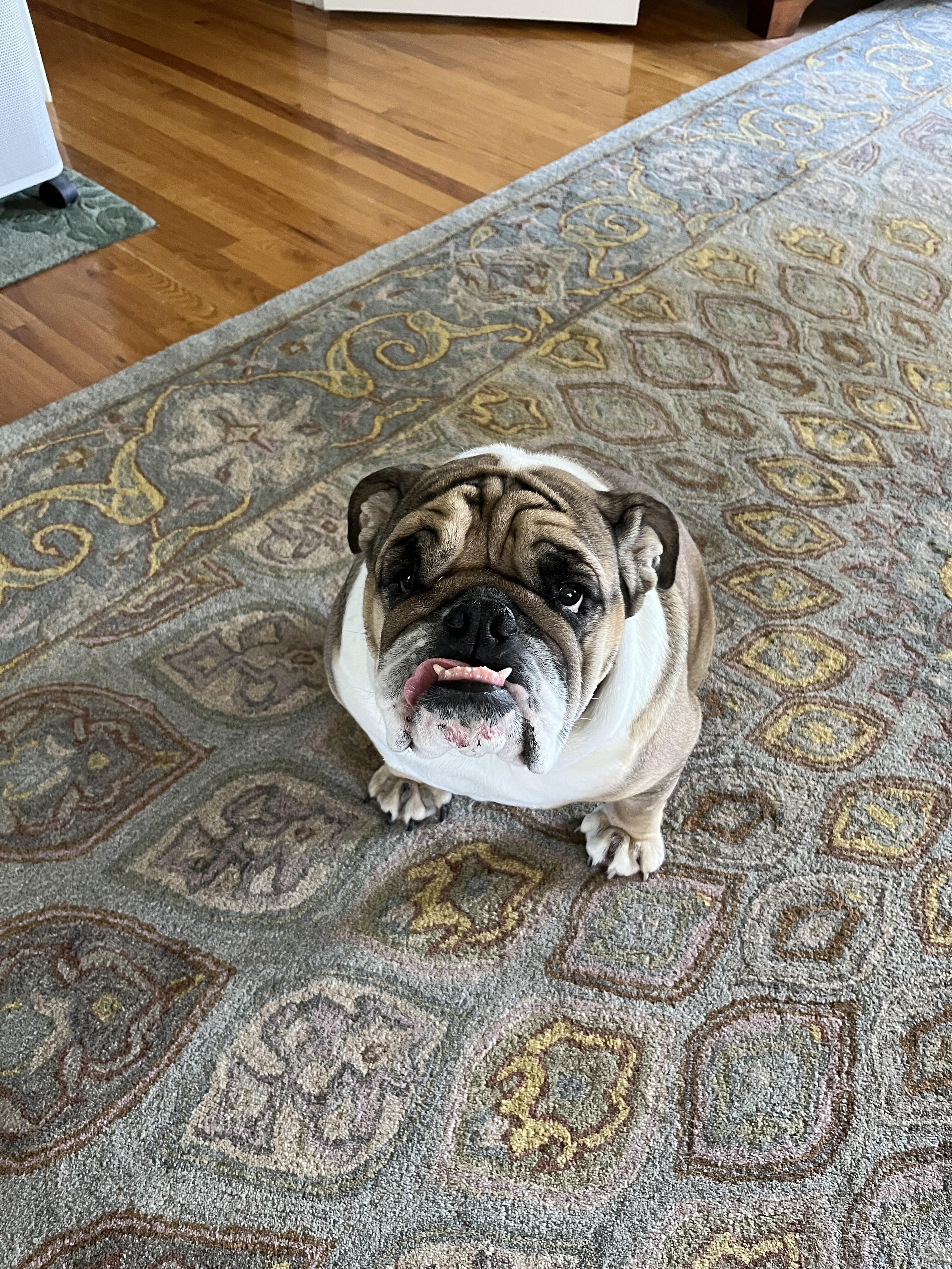 Leonard review photo