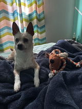 T B. review photo