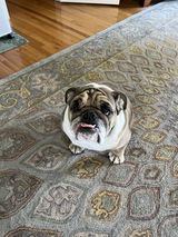 Leonard review photo