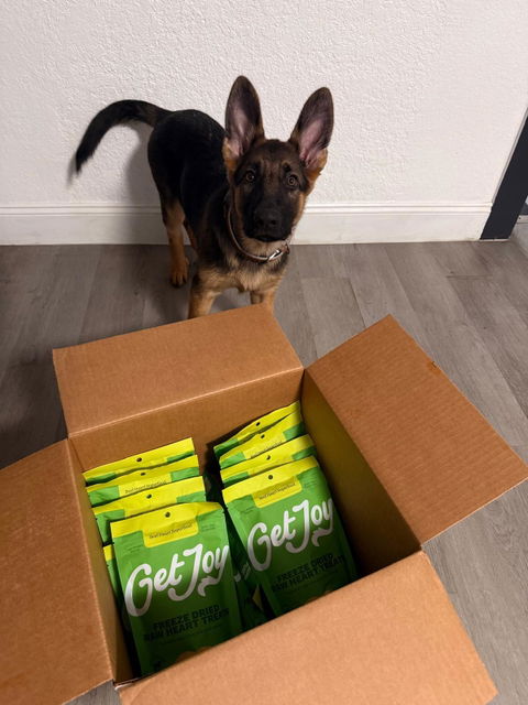 Dog photo from Luana F.'s Get Joy review