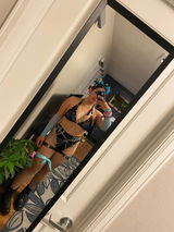 Aly review photo