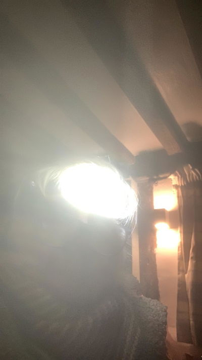 Foto della recensione di Leslie