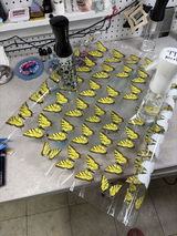 Happy Customer 324 review photo