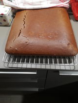 Verena review photo