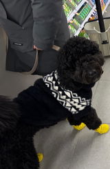 George Michael the Newfypoo review photo