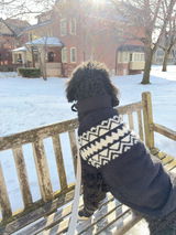 George Michael the Newfypoo review photo
