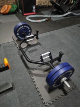 Steve review photo