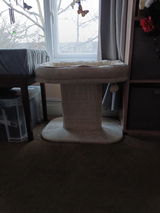 Meg review photo