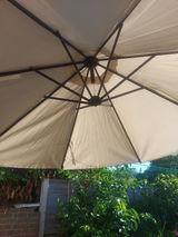 Liy review photo