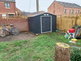 Andrew Lynes review photo