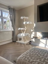 Amazon Customer review photo