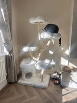 Amazon Customer review photo