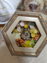 YOSHIE ISHIBASHI review photo