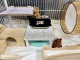 匿名 review photo
