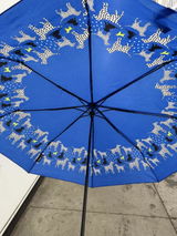 Reva review photo