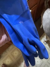 K9 Marine review photo