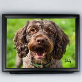 Hassie review photo