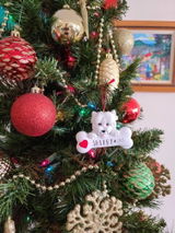 Etsy customer review photo