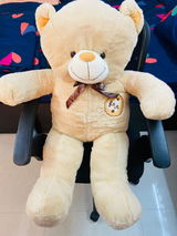 Sankar review photo