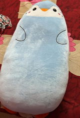Ashisha review photo