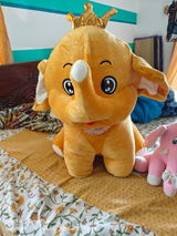 Sundari review photo