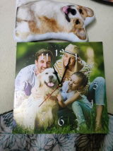 Liam review photo