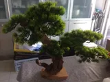Letha R. review photo